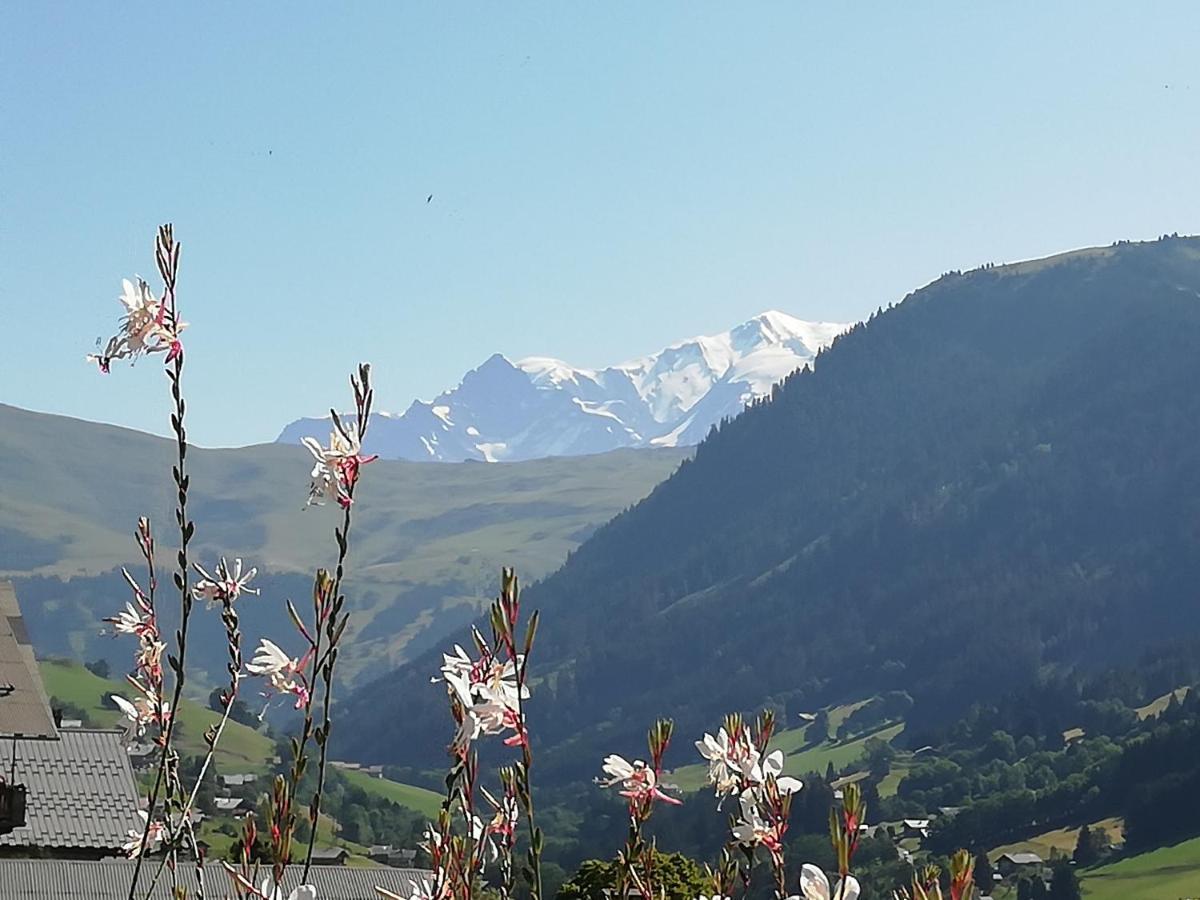Chambres Et Tables D'Hotes Le Choton A Nono - Col Du Joly Beaufortain Hauteluce Bagian luar foto