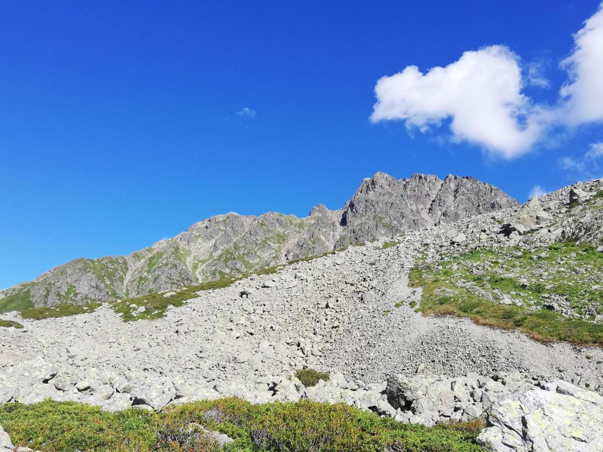 Chambres Et Tables D'Hotes Le Choton A Nono - Col Du Joly Beaufortain Hauteluce Bagian luar foto